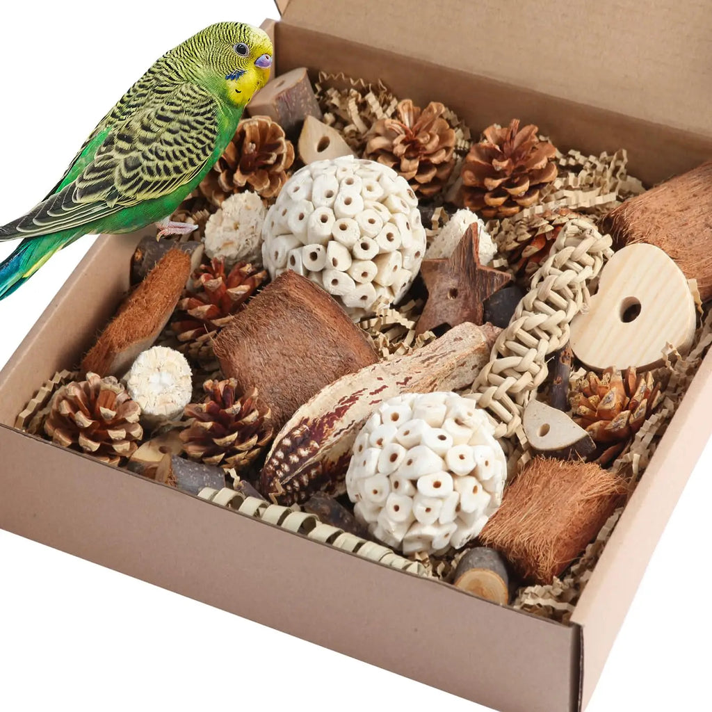 ForageBox Play Set