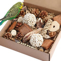 ForageBox Play Set