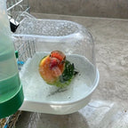 SplashNest Bird Bath