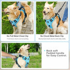 StrideEase Harness