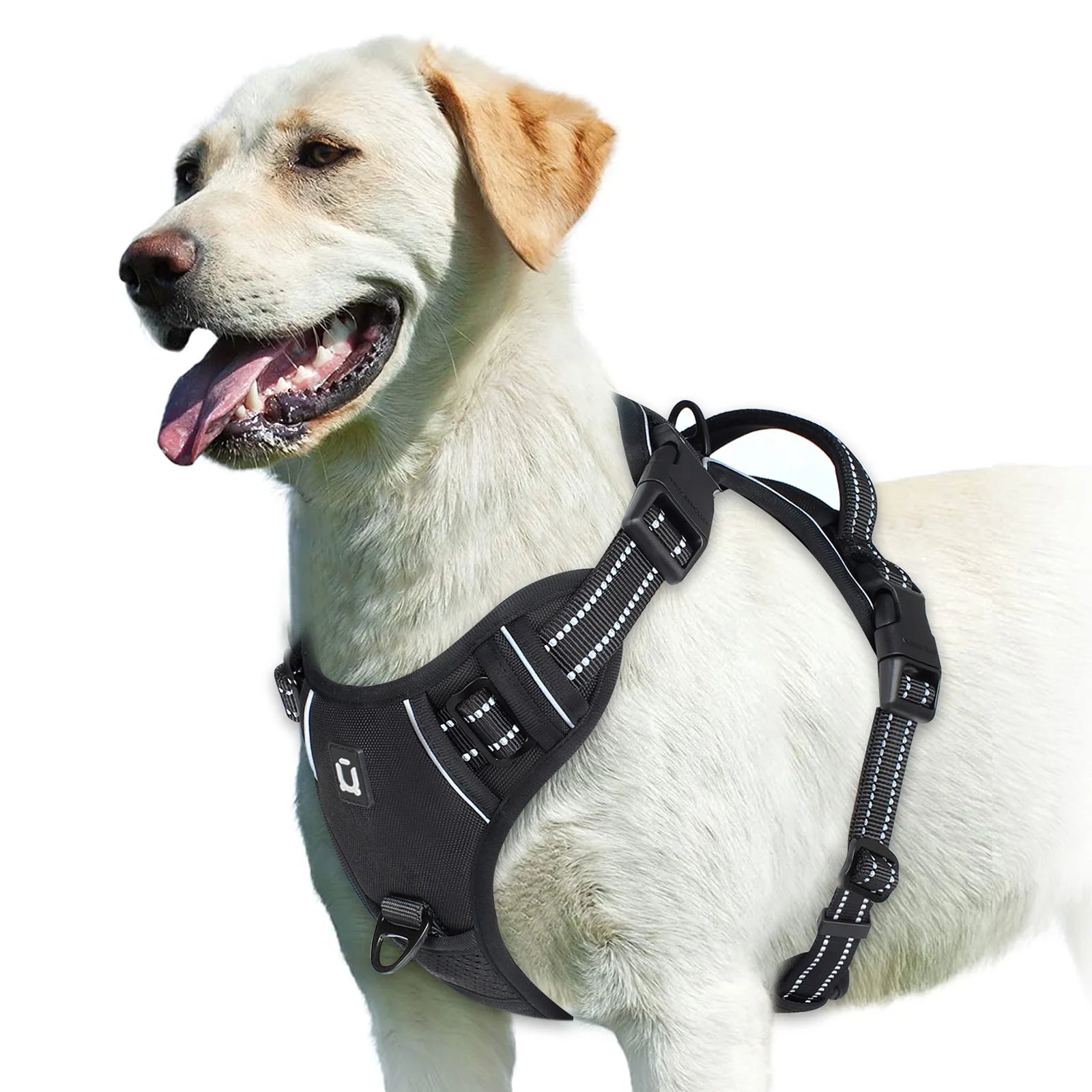 StrideEase Harness
