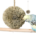 ForageNest Grass Ball