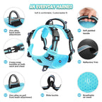 StrideEase Harness