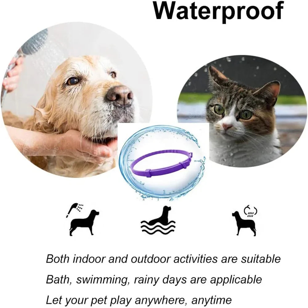 CalmPaw Comfort Collar