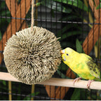 ForageNest Grass Ball