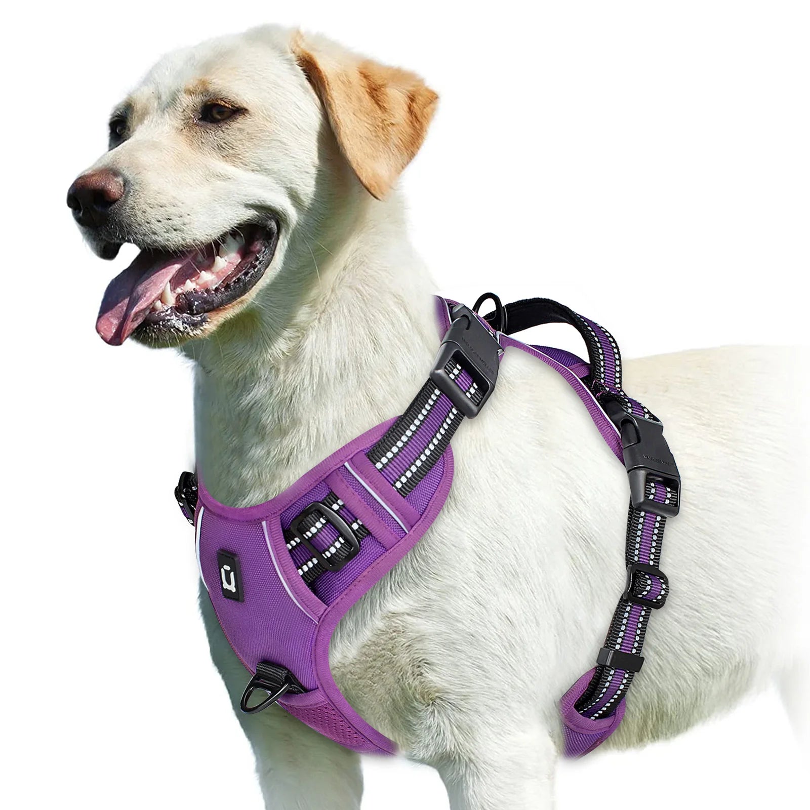 StrideEase Harness