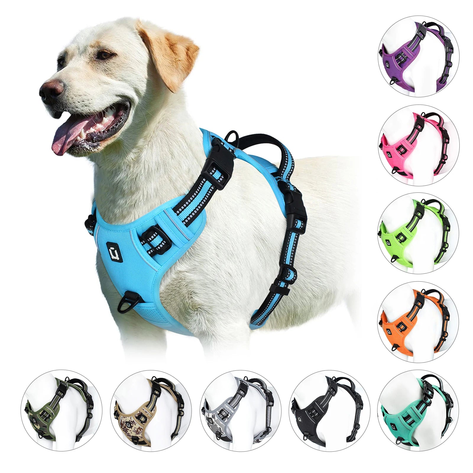 StrideEase Harness