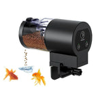 EasyFeed Automatic Fish Feeder