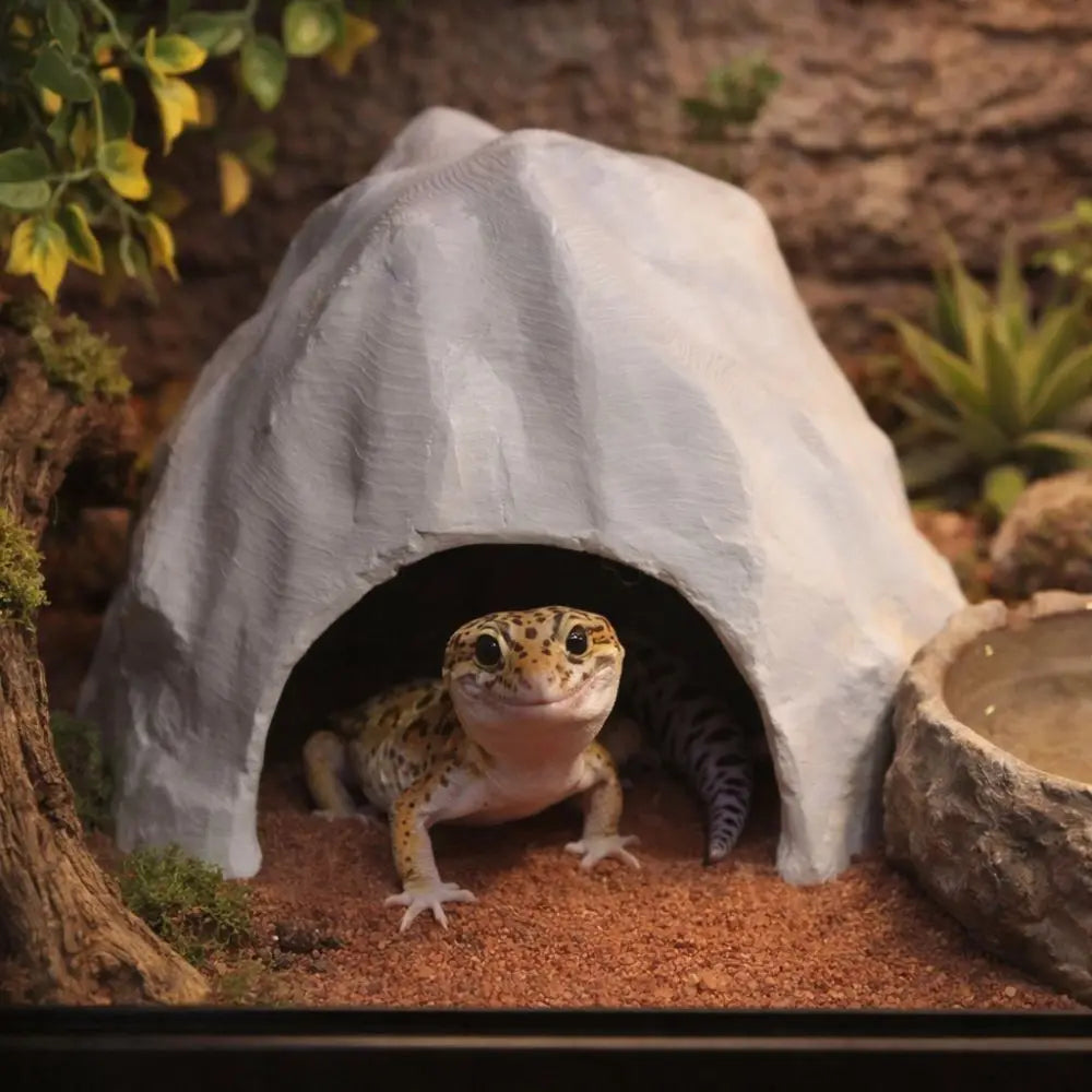 HideStone Reptile Cave