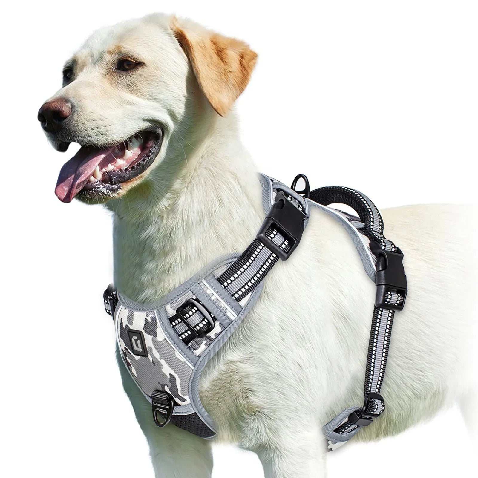 StrideEase Harness
