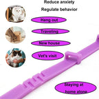 CalmPaw Comfort Collar