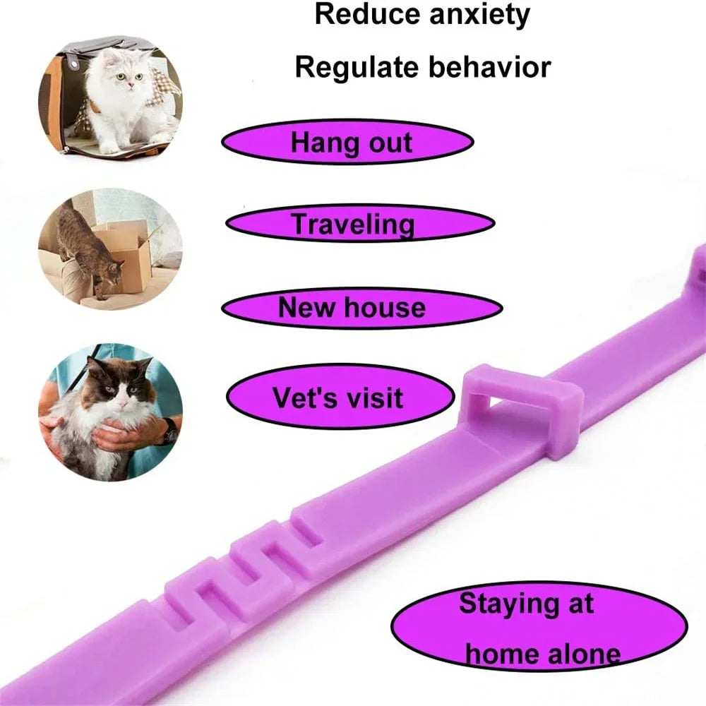CalmPaw Comfort Collar