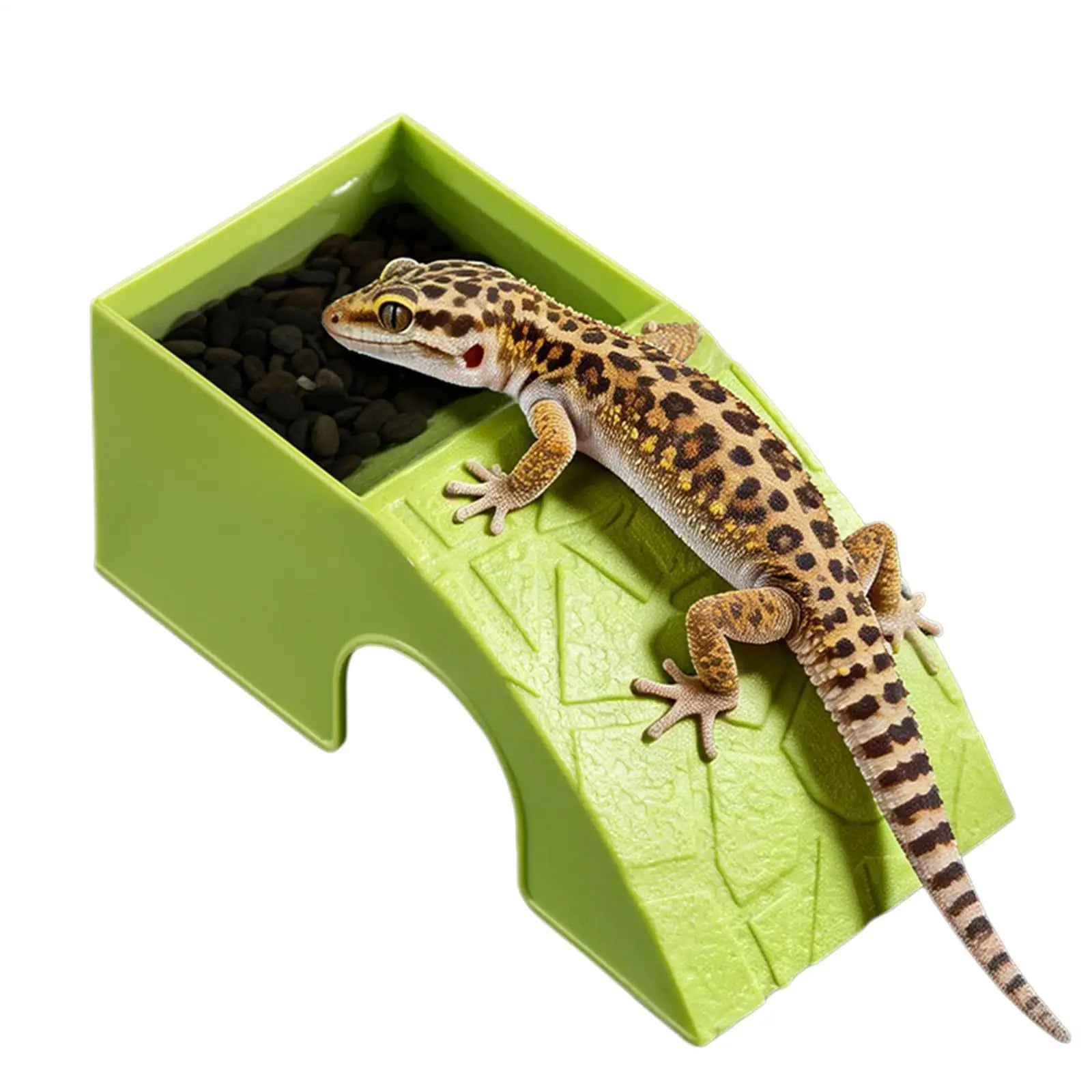 HideBowl Habitat Dish