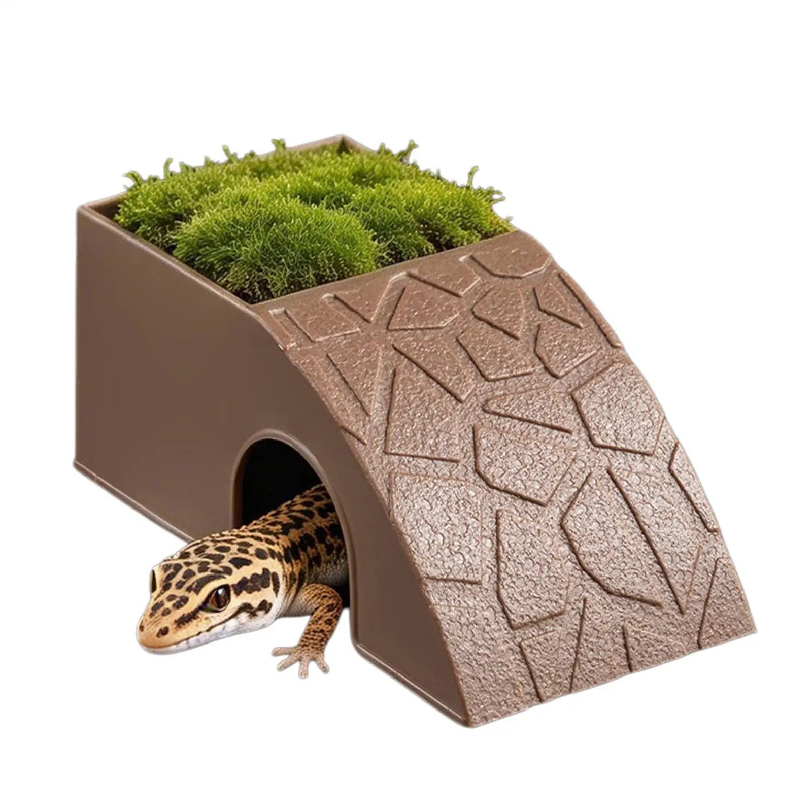 HideBowl Habitat Dish