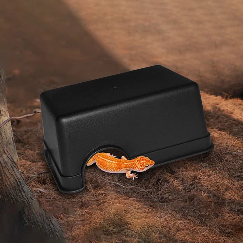 RockNest Basking Hide