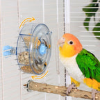 SpinTreat Foraging Toy
