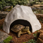 HideStone Reptile Cave