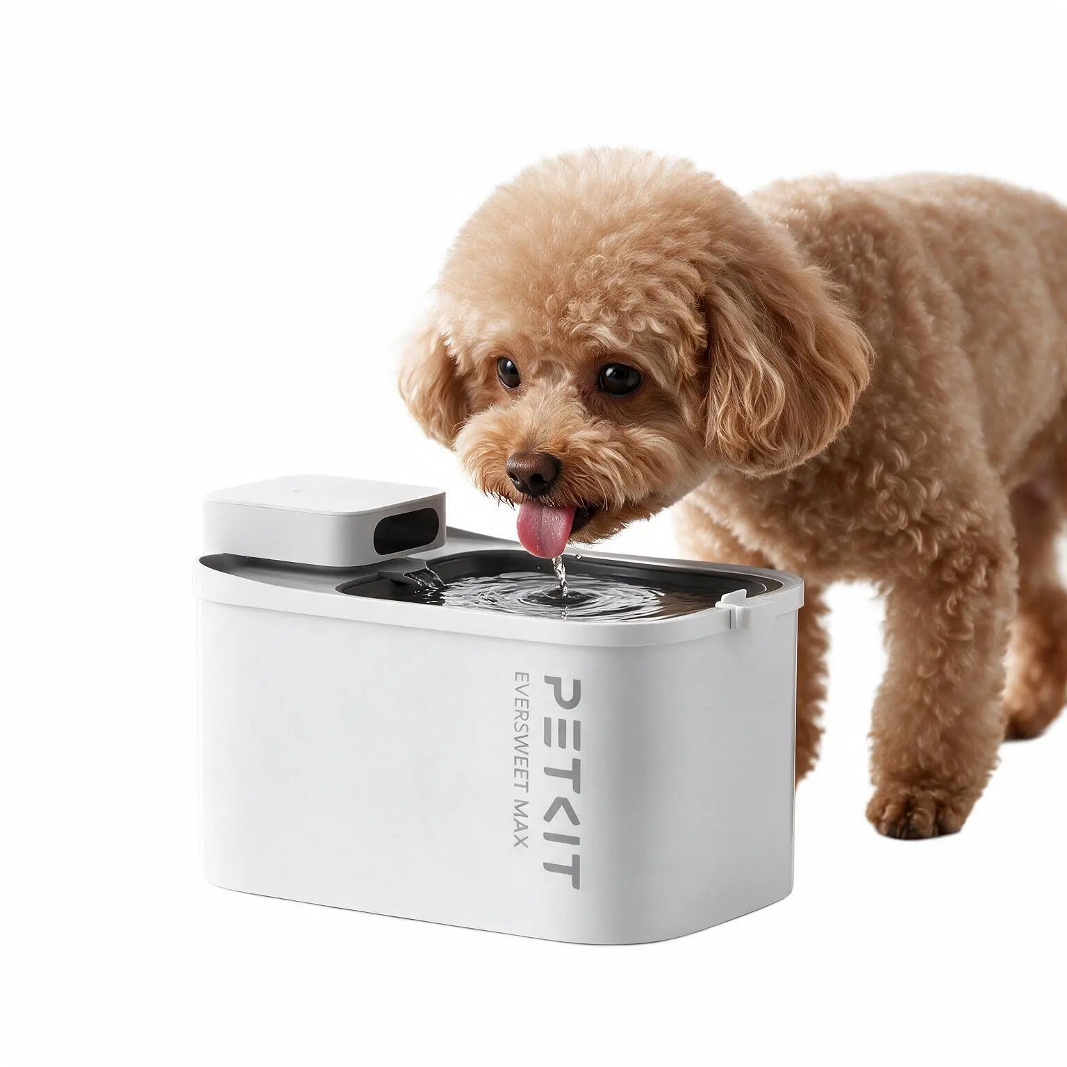 FlowNest Wireless Fountain